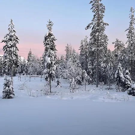 Villa Aurora Noir Rovaniemi