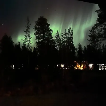 Aurora Noir