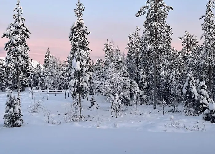 Villa Aurora Noir Rovaniemi
